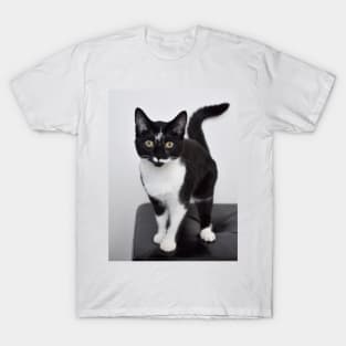 Lucy T-Shirt